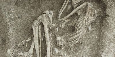8 bin 500 yıllık iskelet bulundu