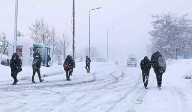 Van Bahçesaray’da Eğitime 1 Gün Ara Verildi